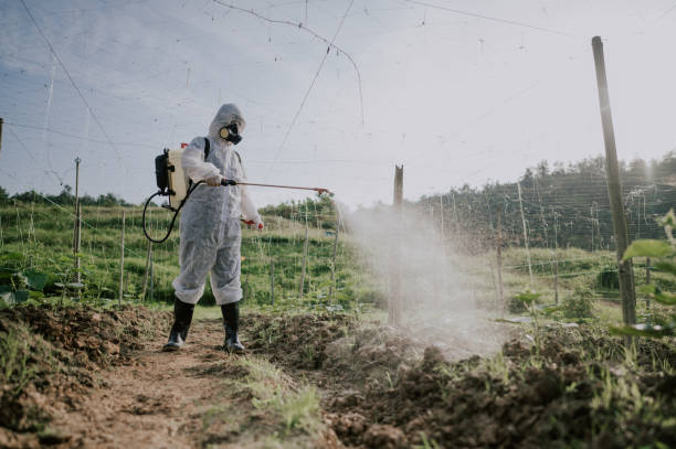 Best Pest Control for Homes  in Fowler, CO