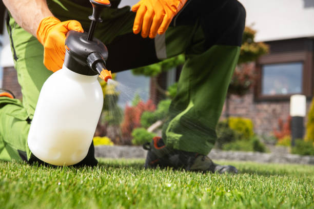 Best Wasp Removal Services  in Fowler, CO