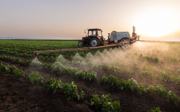 Best Pest Inspection Near Me  in Fowler, CO