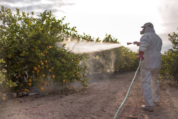 Best Bird Control  in Fowler, CO