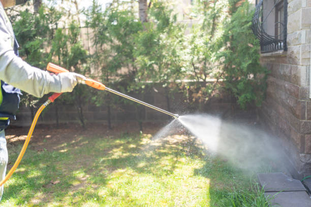 Best Wasp Removal Services  in Fowler, CO