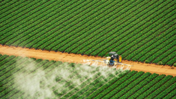 Best Mosquito Control Services  in Fowler, CO