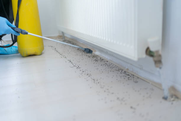 Best Commercial Pest Control Services  in Fowler, CO